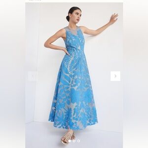 Anthropologie Appliqued Tulle Maxi Dress
Geisha Designs